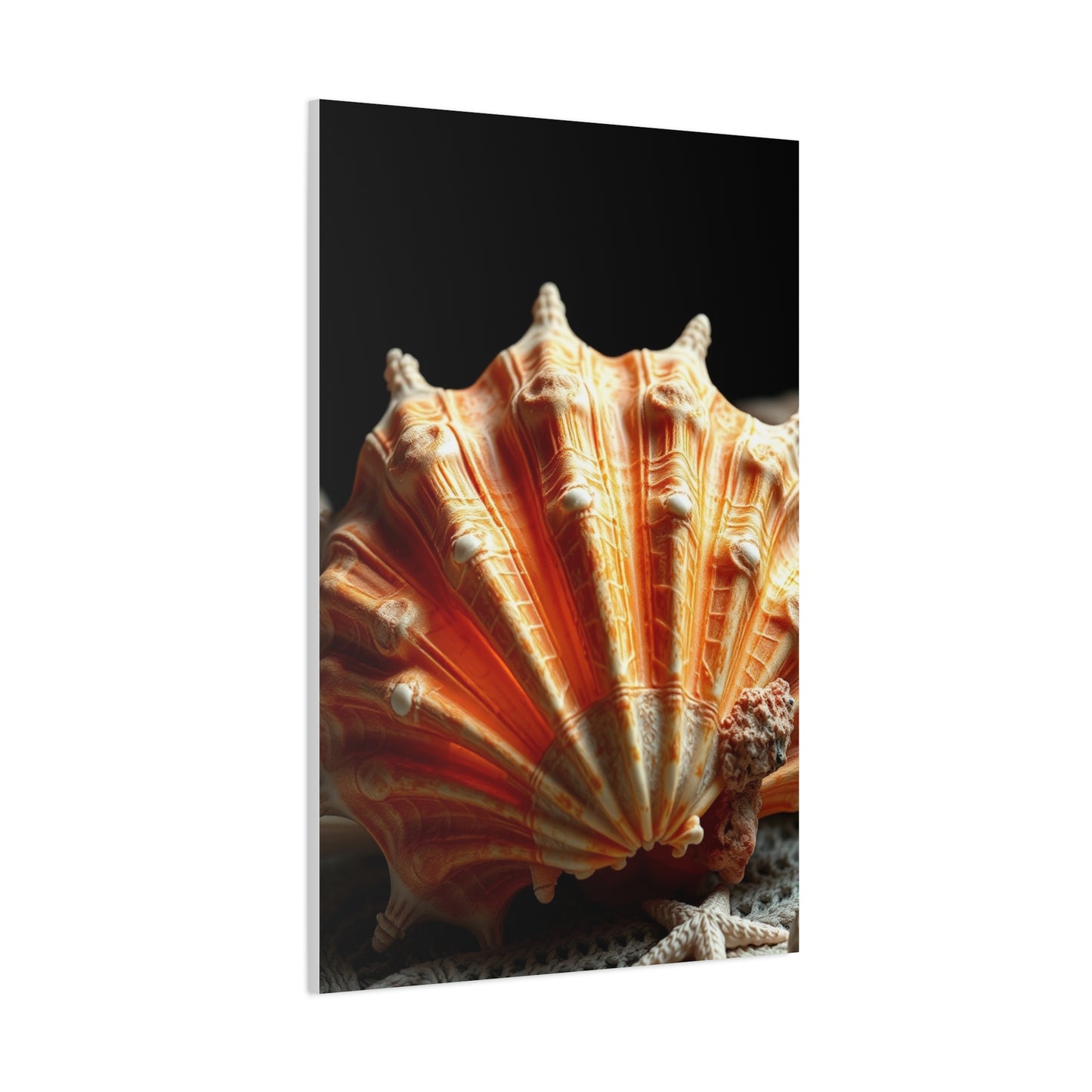 Sea Shell Art Supreme Gallery Wall Art & Canvas Print