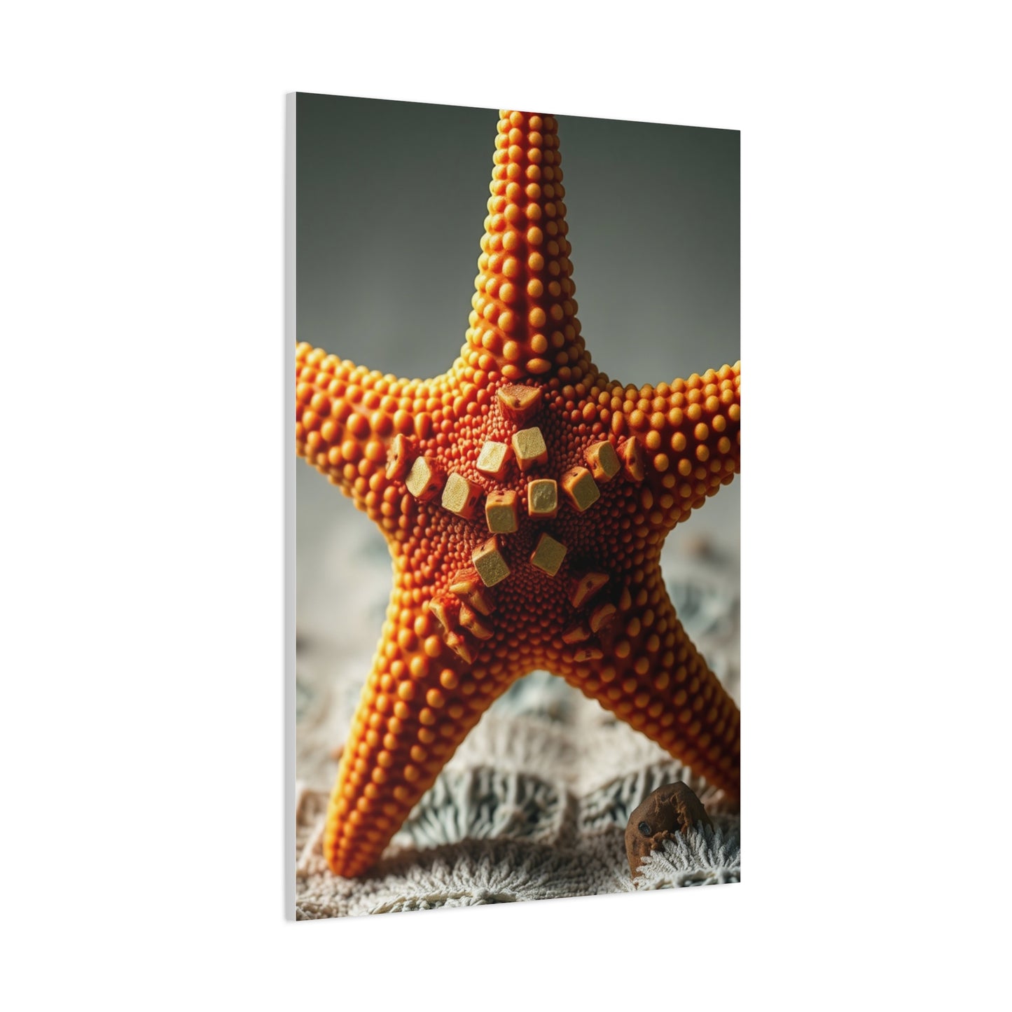 Supreme Starfish Art Collection Wall Art & Canvas Print