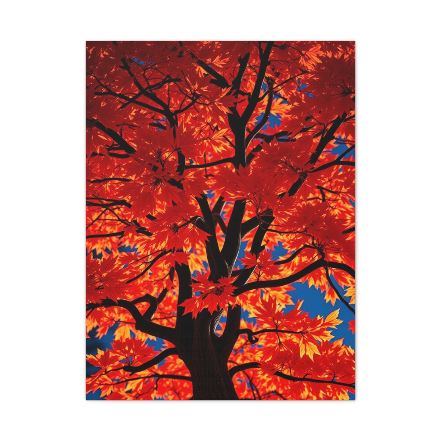 Maple Tree Art Supreme Gallery Wall Art & Canvas Print