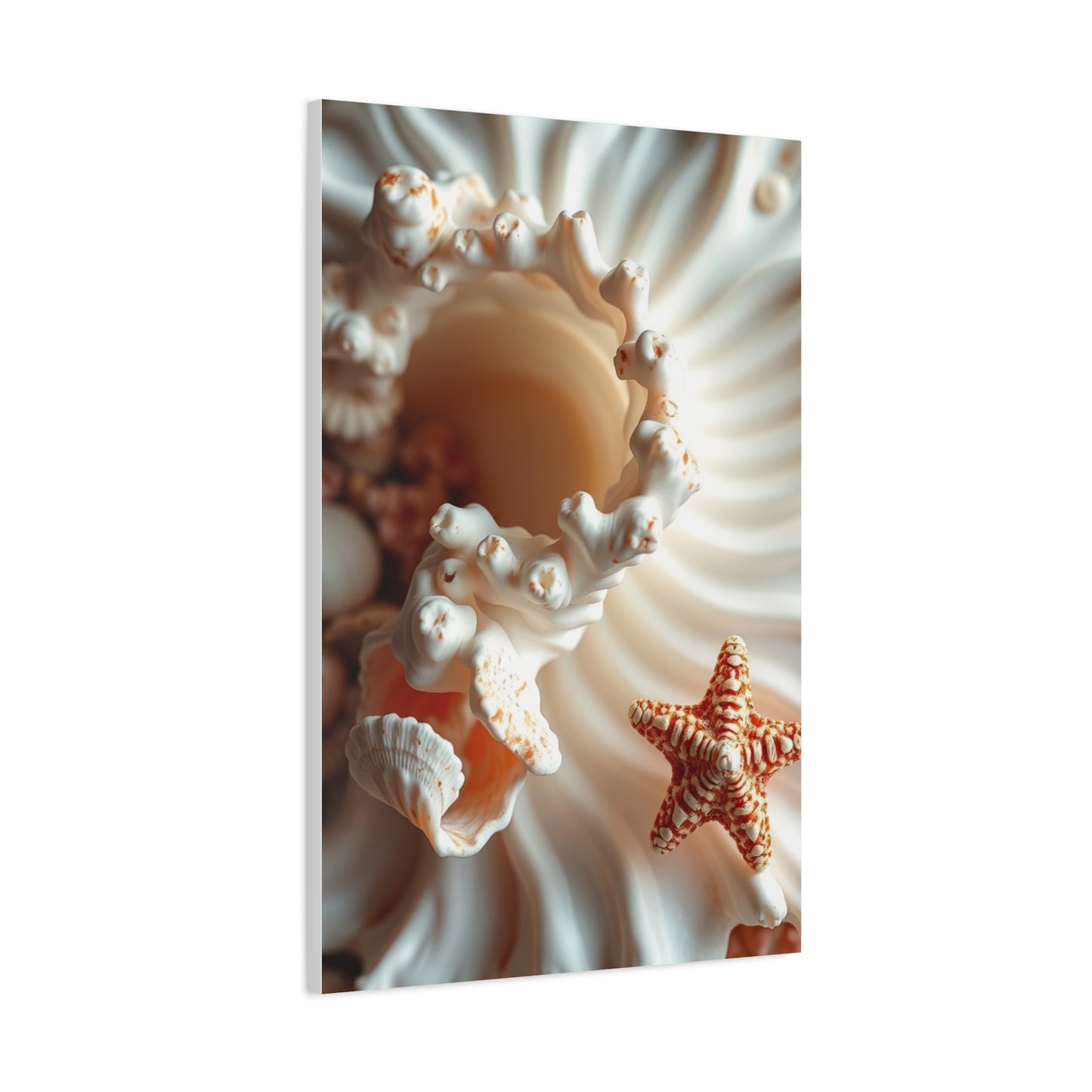 Sea Shell Art Refined Canvas Wall Art & Canvas Print
