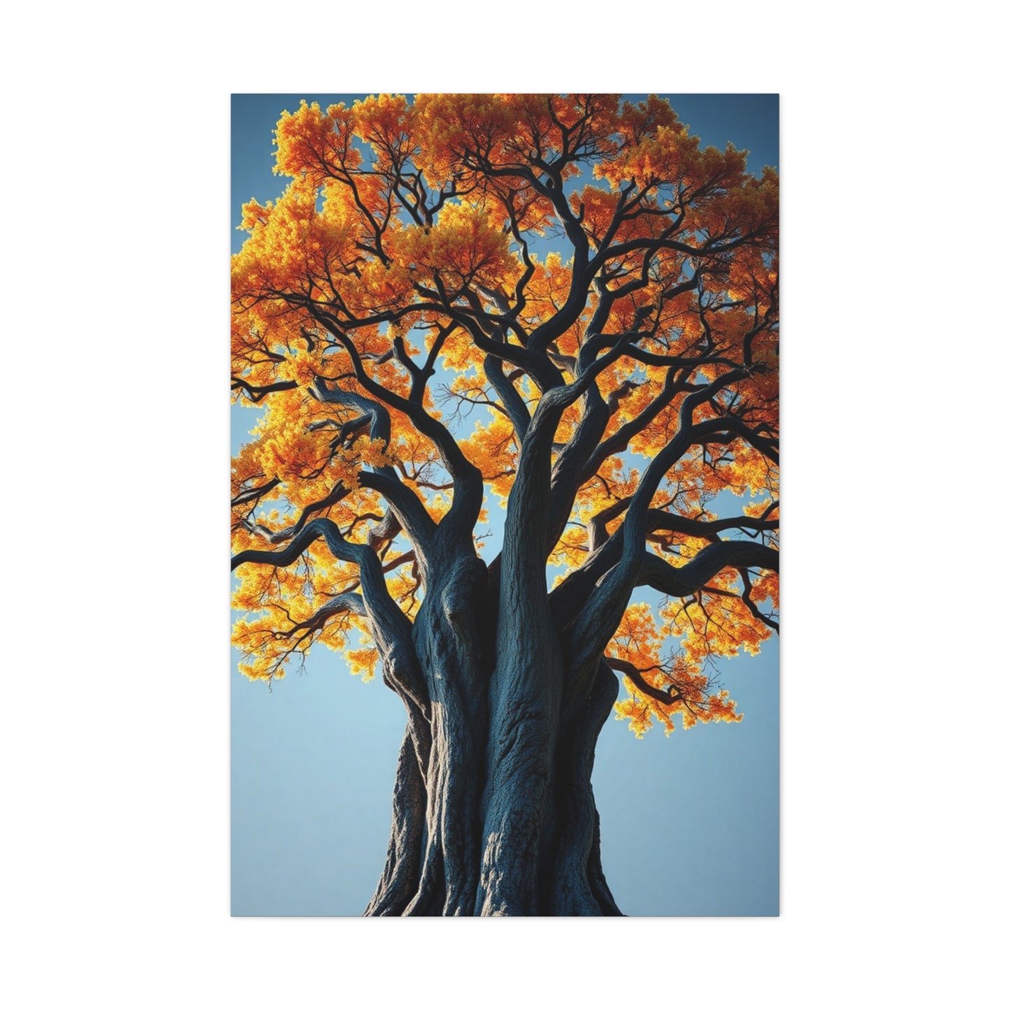 Oak Tree Art Supreme Gallery Wall Art & Canvas Print