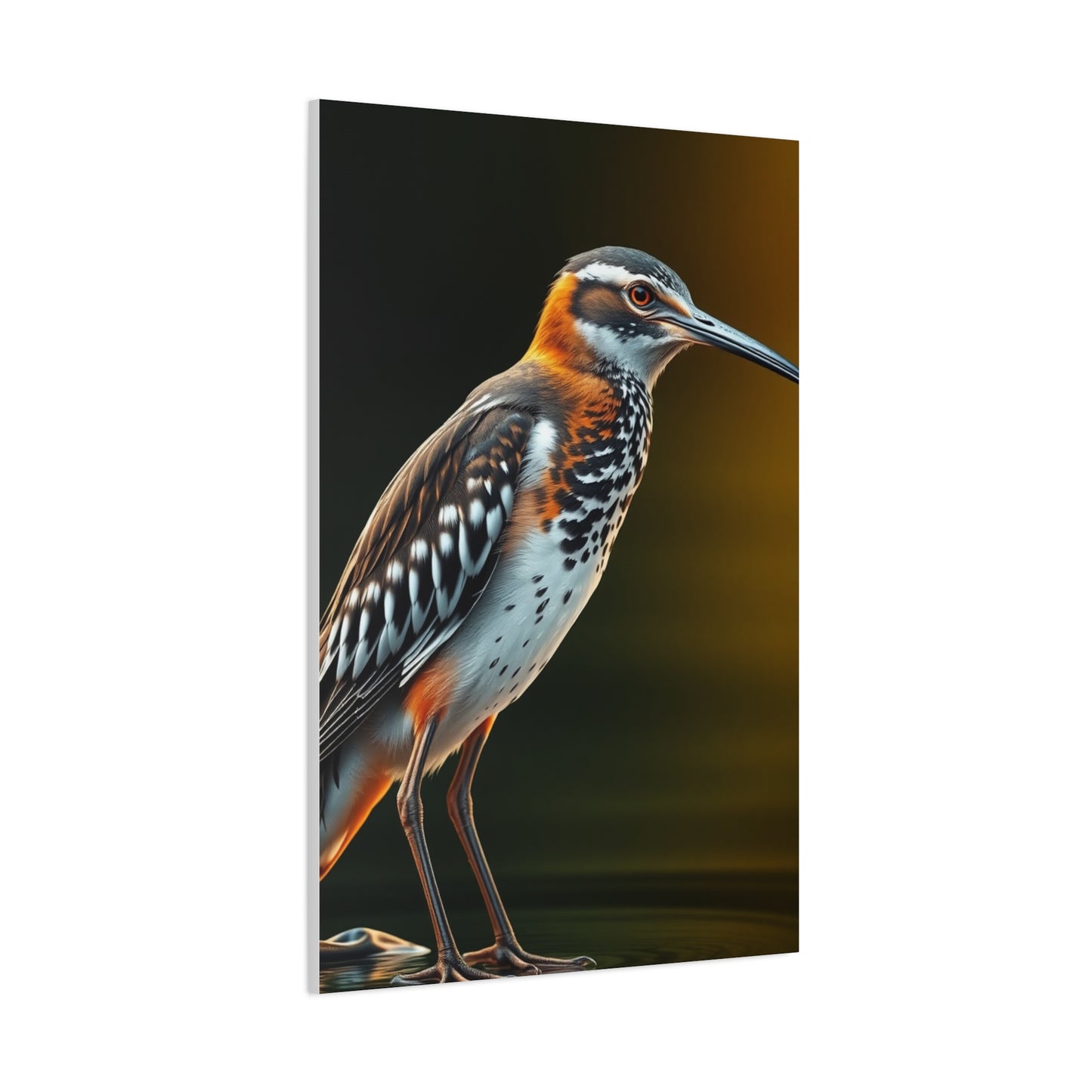 Supreme Sandpiper Art Collection Wall Art & Canvas Print