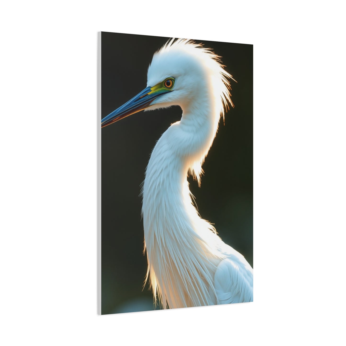 Supreme Egret Art Collection Wall Art & Canvas Print