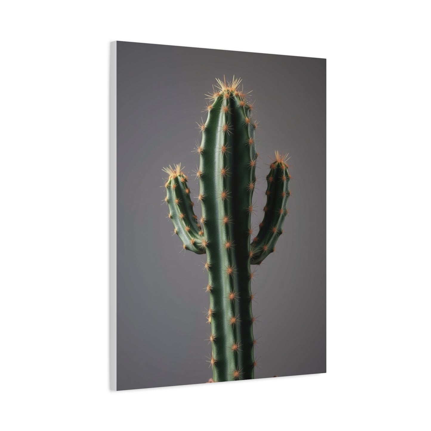Succulent Reverie Art Wall Art & Canvas Print