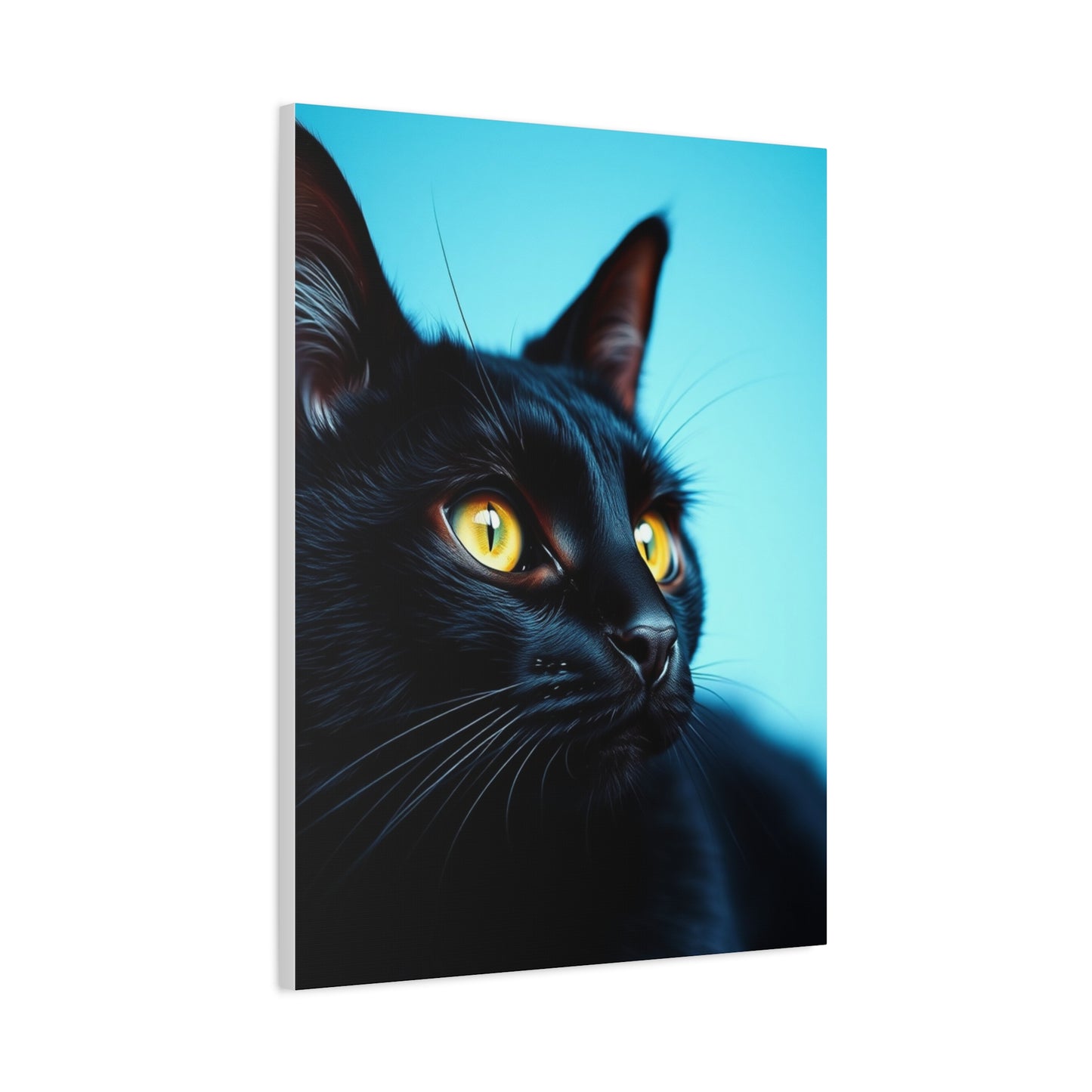 Supreme Black Cat Art Collection Wall Art & Canvas Print