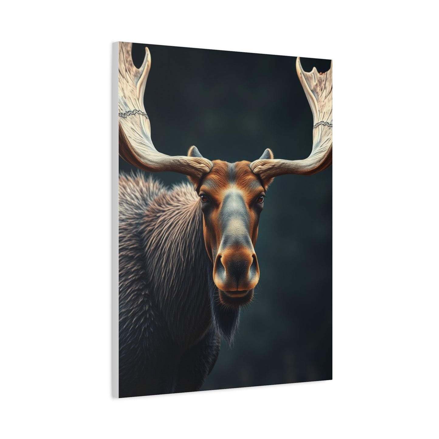 Moose Art Luxury Canvas Wall Art & Canvas Print