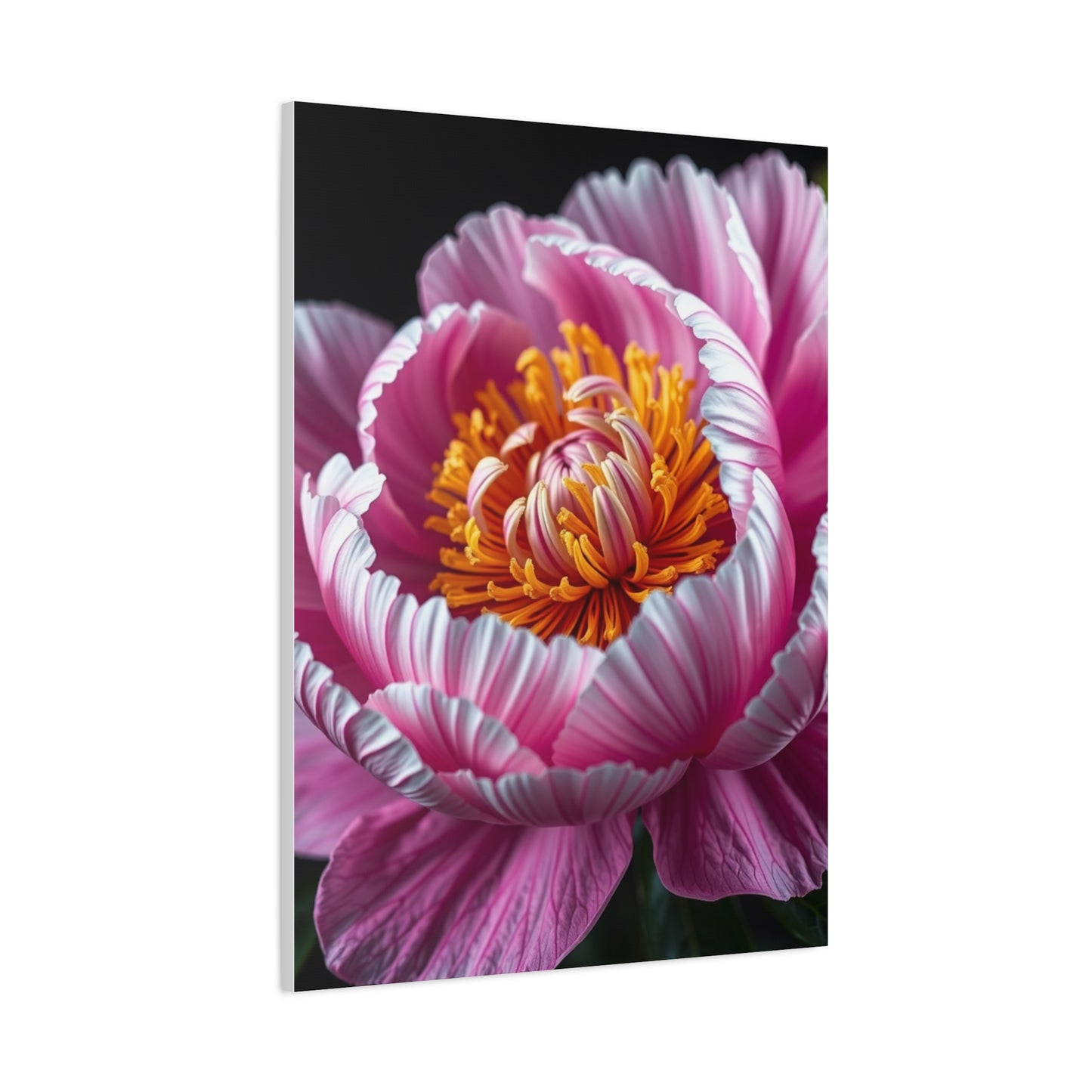 Celestial Peony Elegance Wall Art & Canvas Print