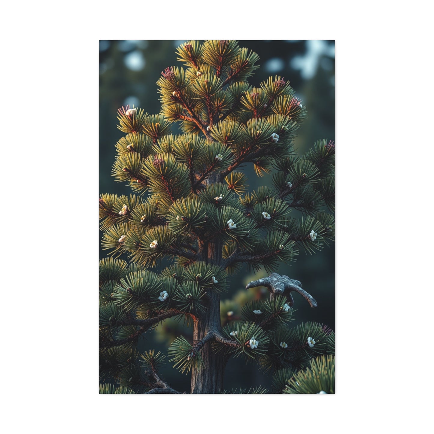 Elite Pine Tree Art Vision Wall Art & Canvas Print