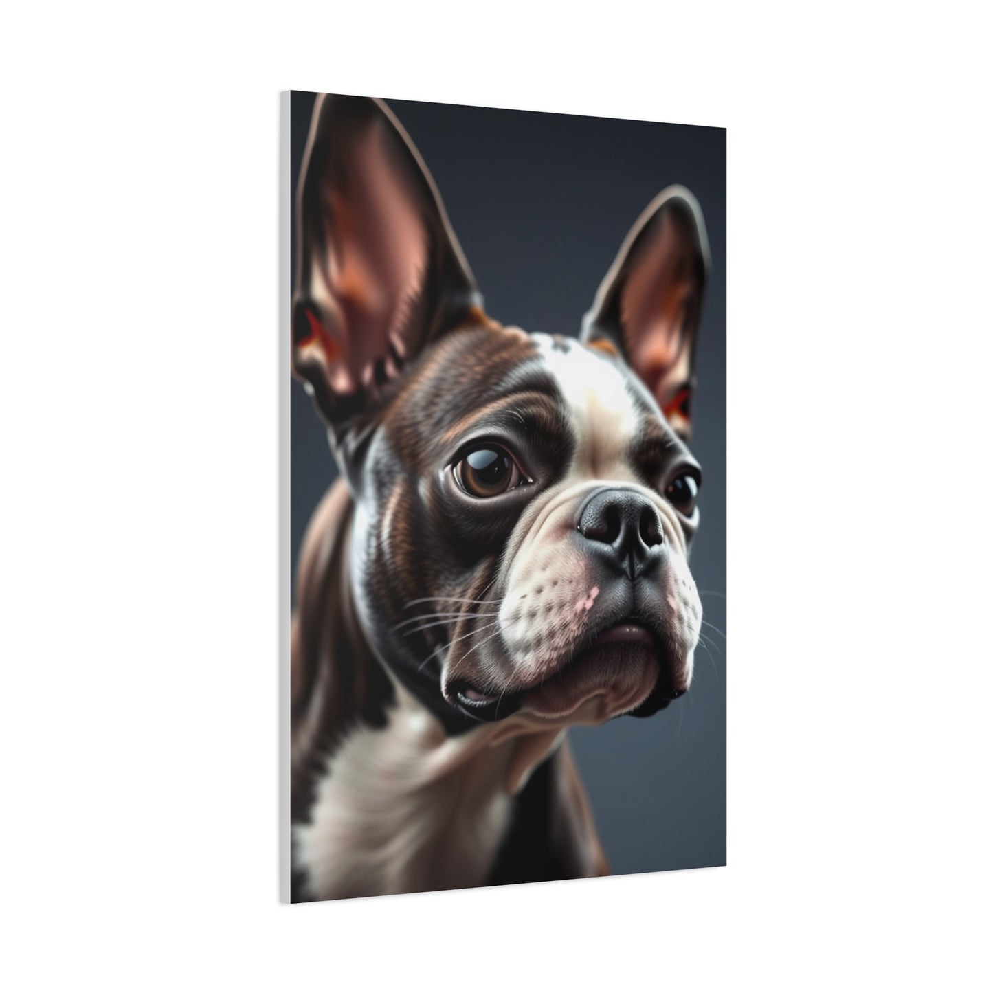 Boston Terrier Art Refined Canvas Wall Art & Canvas Print