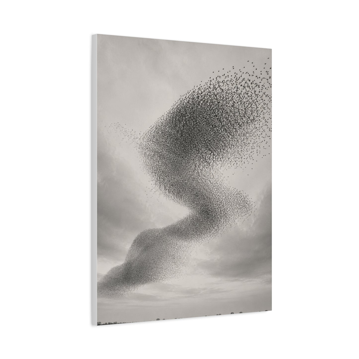 Murmuration Love Formation Monochrome Wall Art & Canvas Print