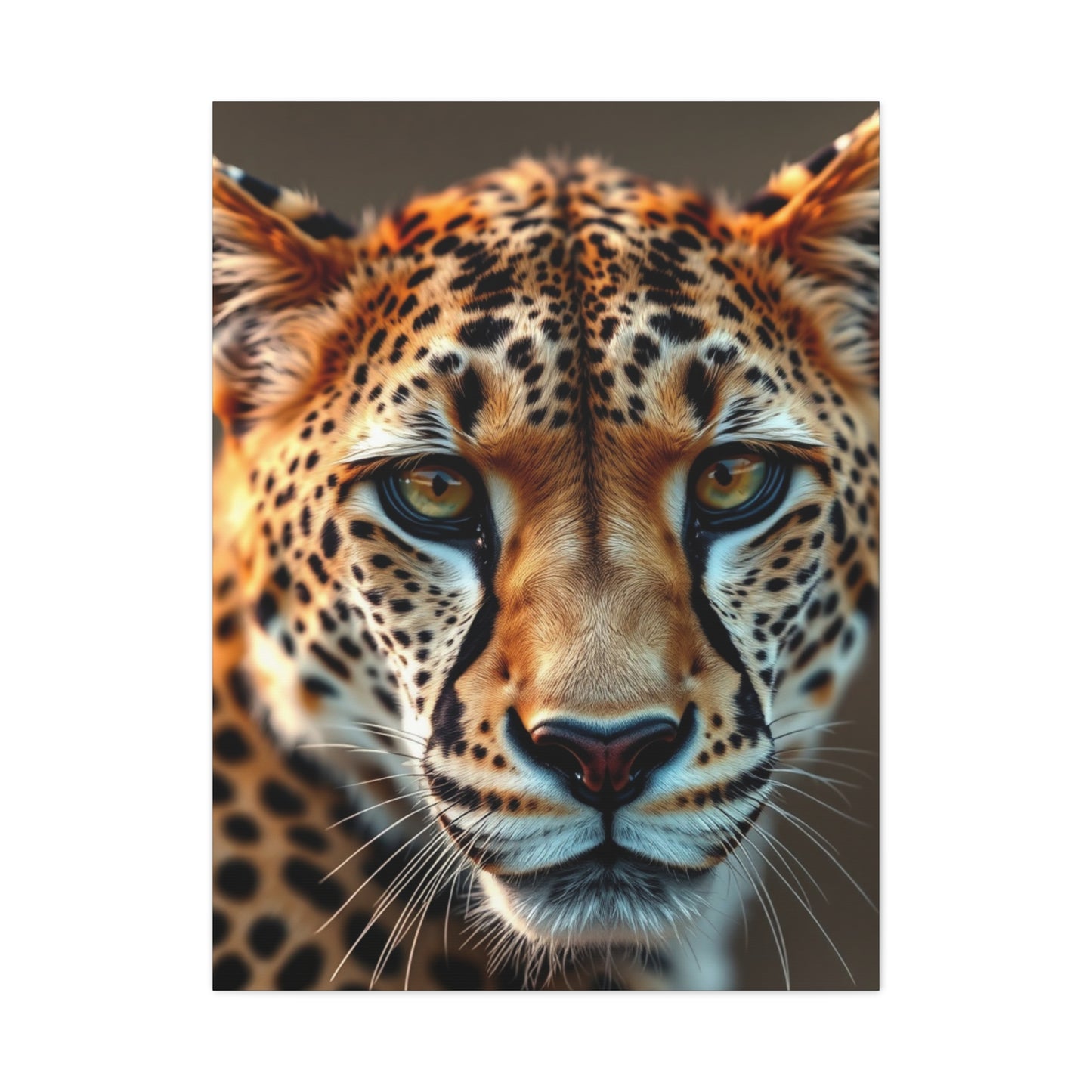 Supreme Cheetah Art Collection Wall Art & Canvas Print
