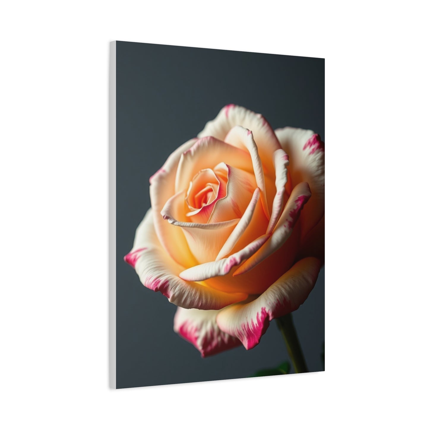 Elite Rose Flower Art Vision Wall Art & Canvas Print
