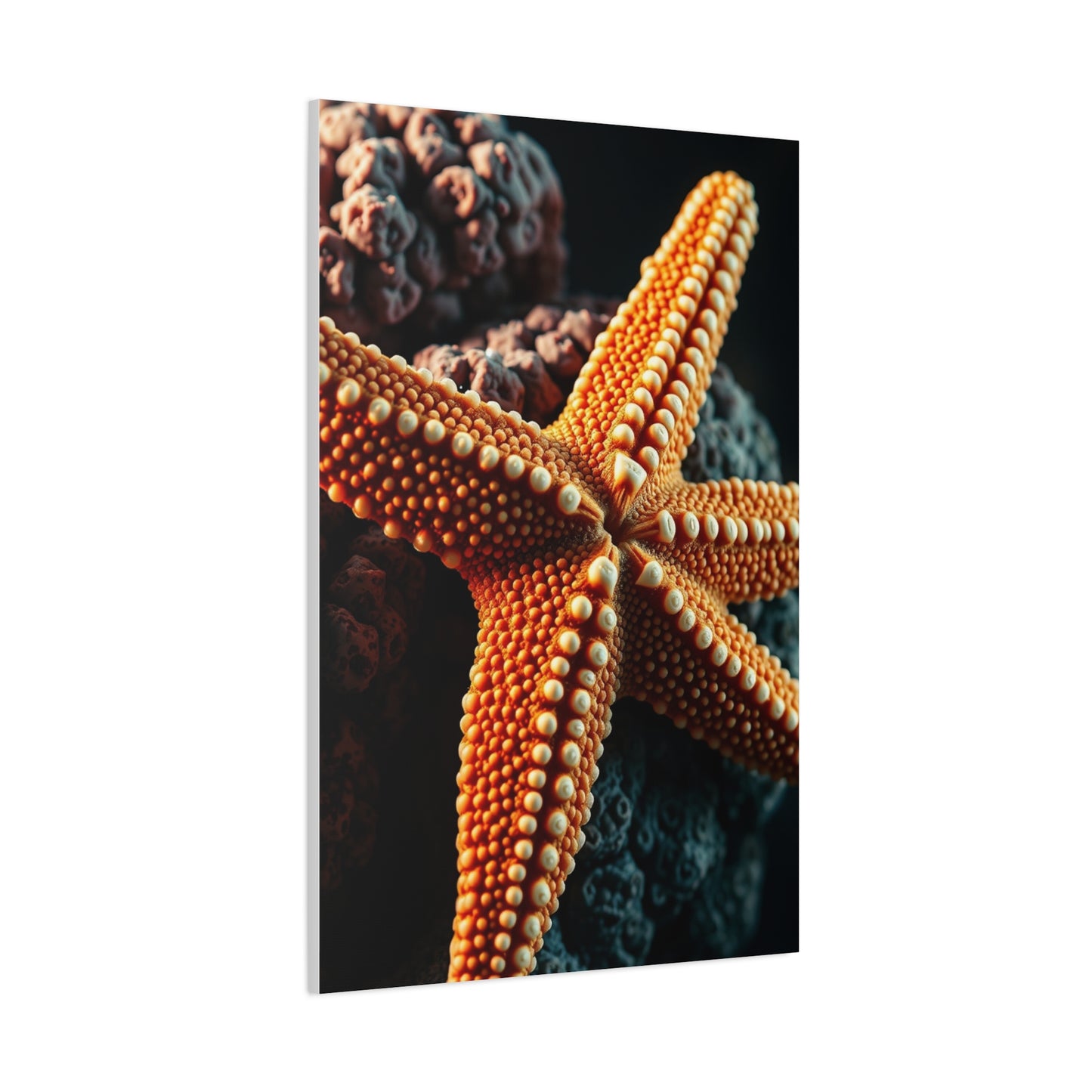Collection Starfish Art Art Wall Art & Canvas Print