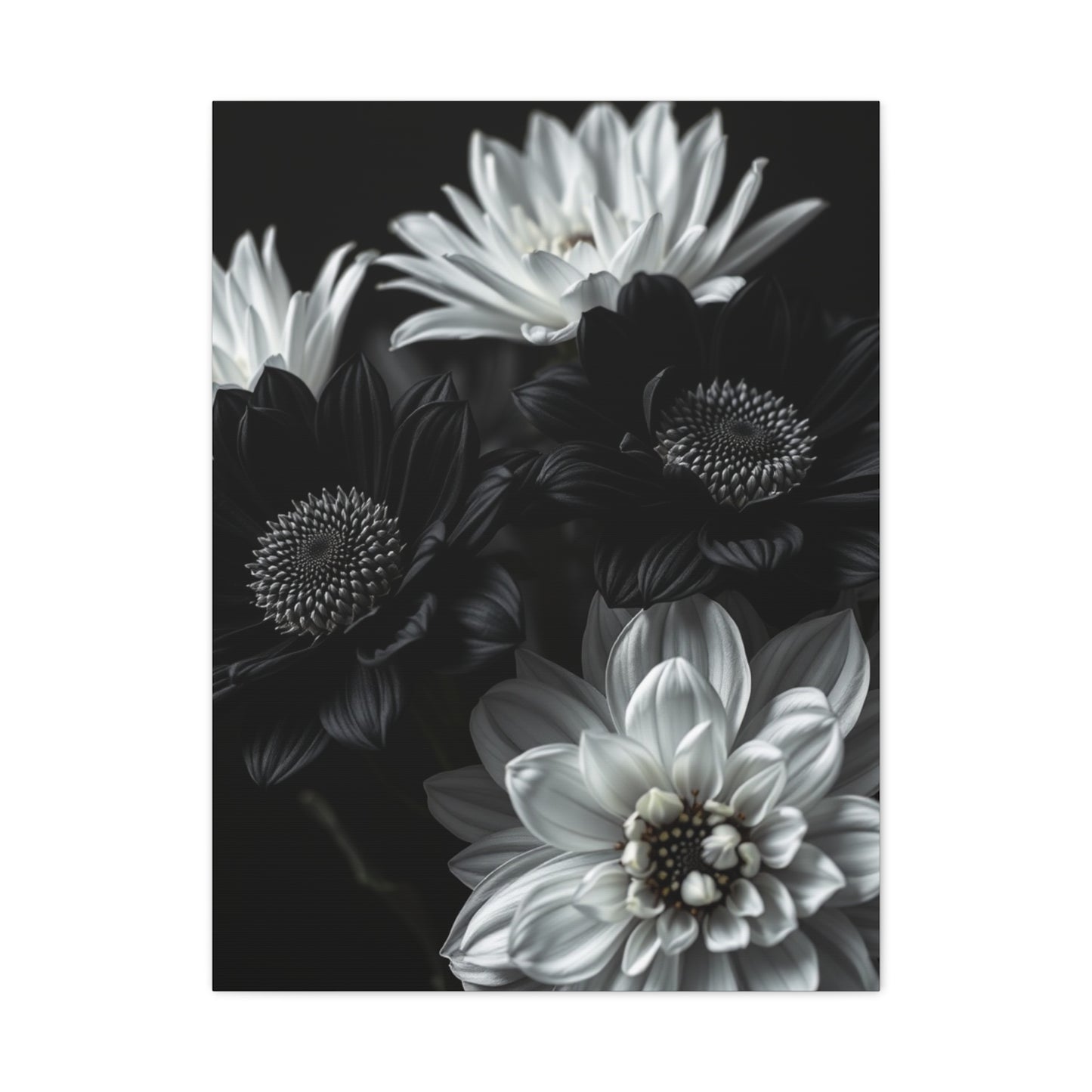 Monochrome Bloom Elegance Wall Art & Canvas Print