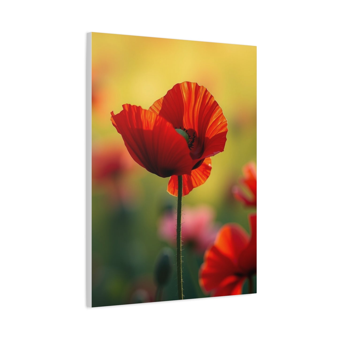 Masterpiece Poppy Flower Art Vision Wall Art & Canvas Print