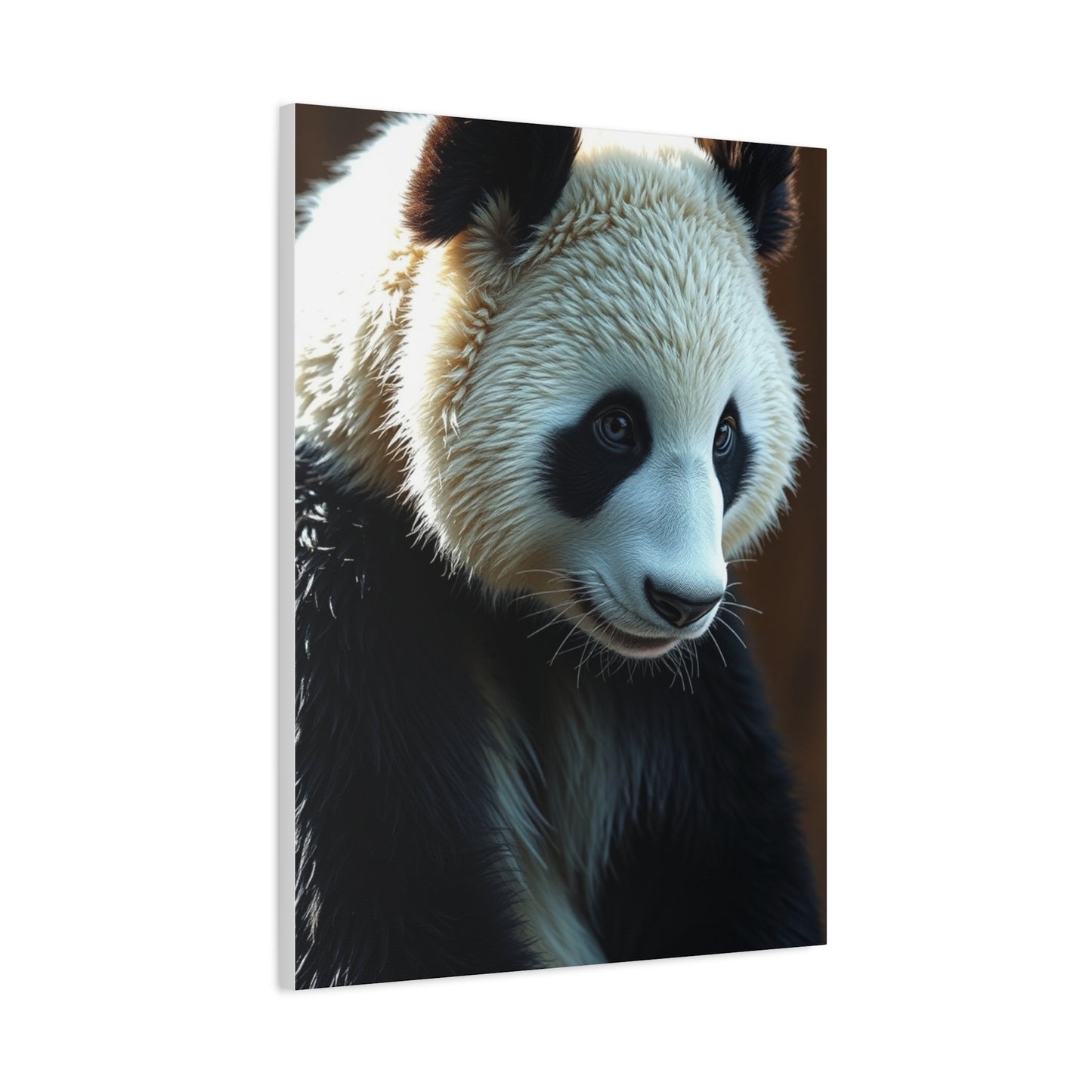 Panda Art Luxury Canvas Wall Art & Canvas Print