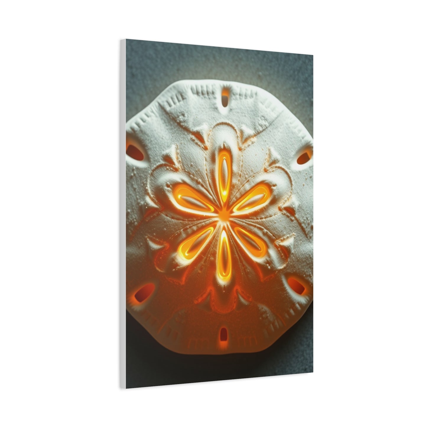 Elite Sand Dollar Art Vision Wall Art & Canvas Print