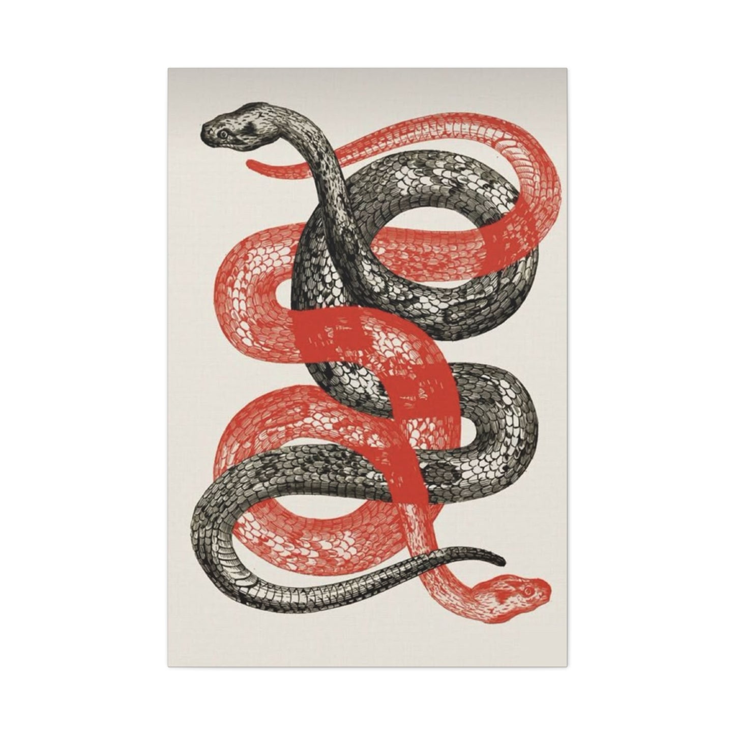 Red And Black Snake Wall Art & Canvas Prints
