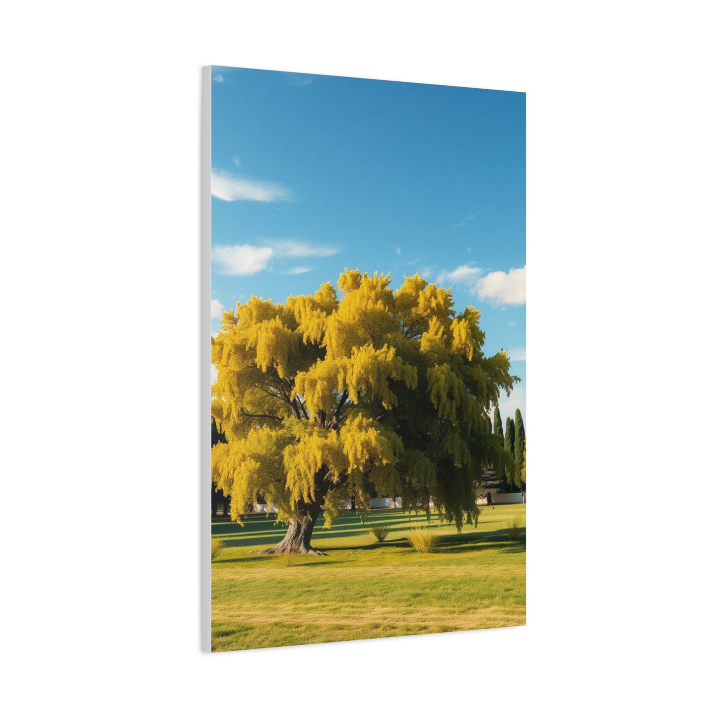 Sylvan Reverie Decor Wall Art & Canvas Print