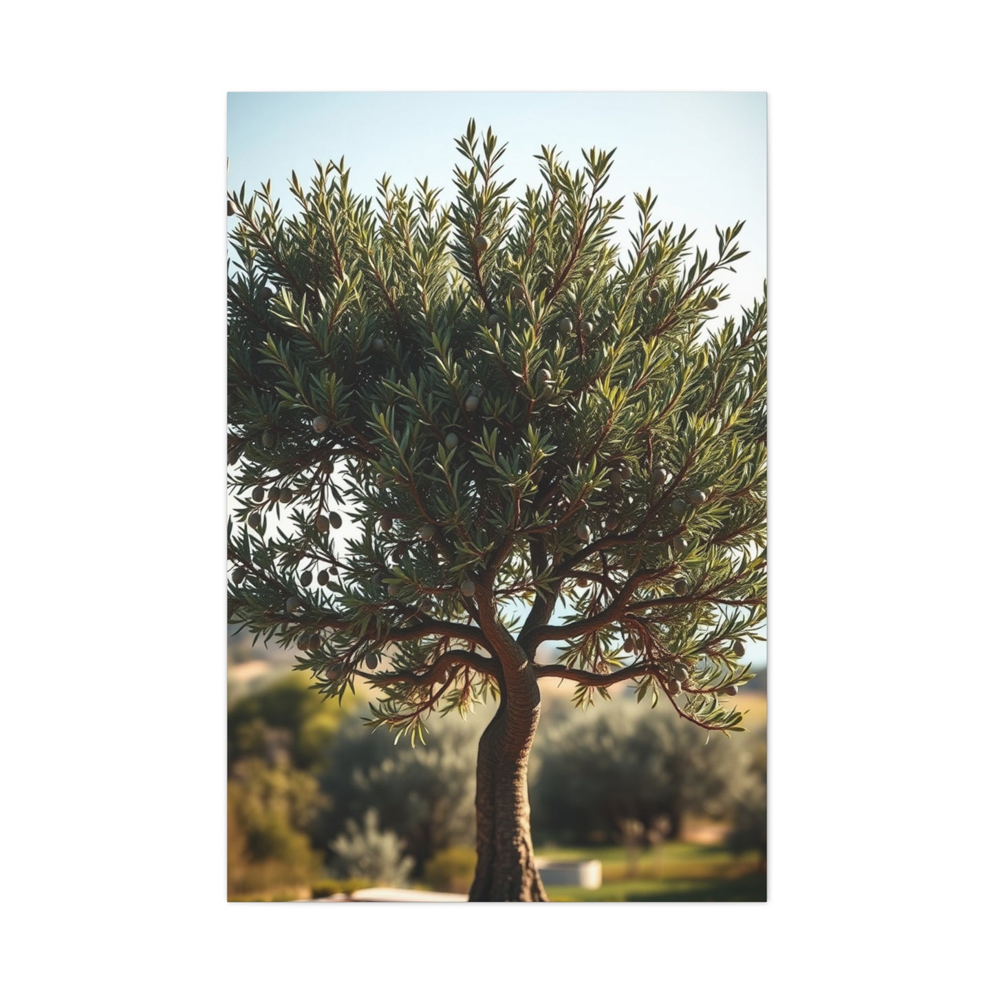 Supreme Olive Tree Art Collection Wall Art & Canvas Print