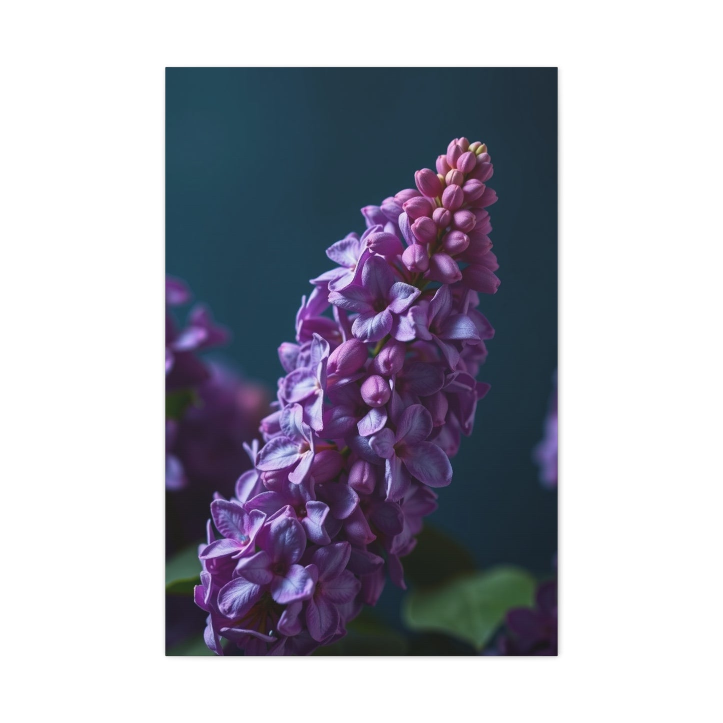 Elite Lilac Flower Art Vision Wall Art & Canvas Print