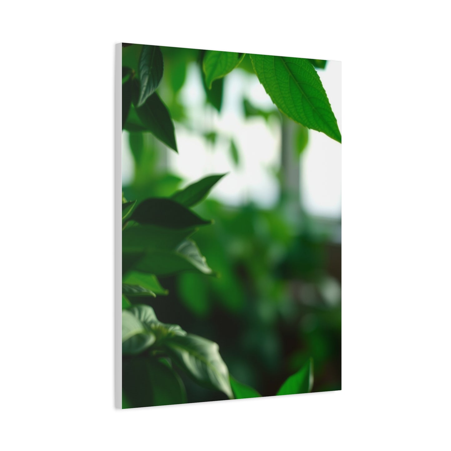 Lush Horizon Masterpiece Wall Art & Canvas Print