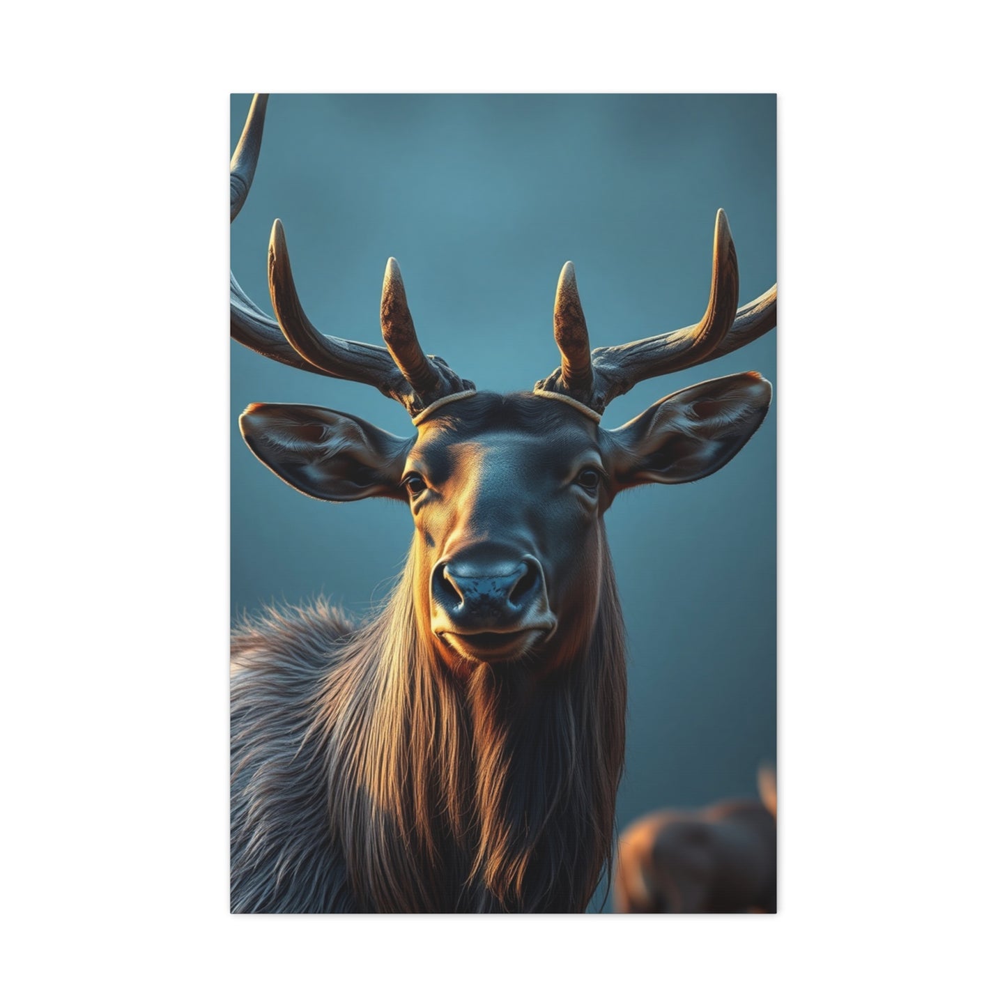 Sovereign Elk Elegance