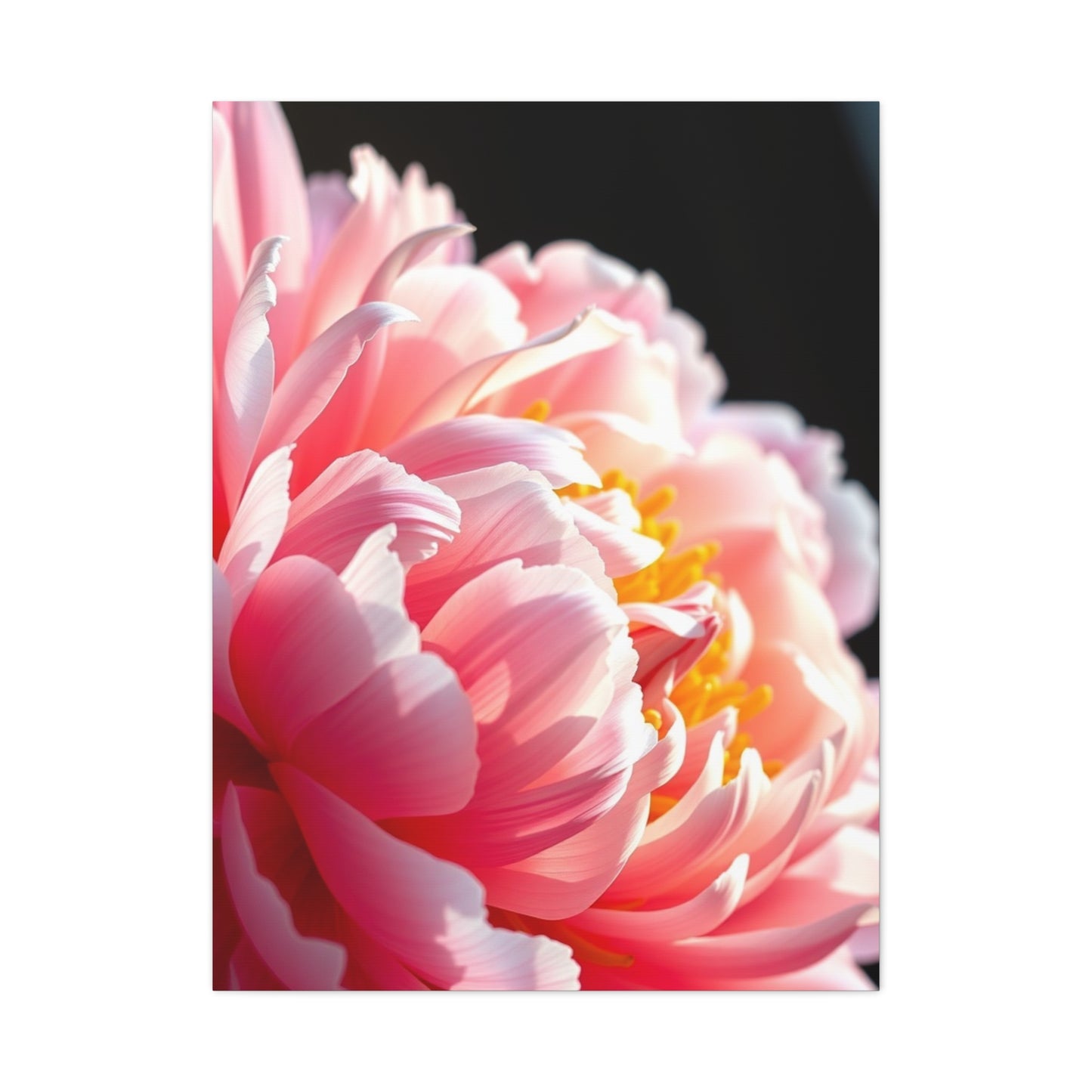 Opulent Peony Reverie Wall Art & Canvas Print