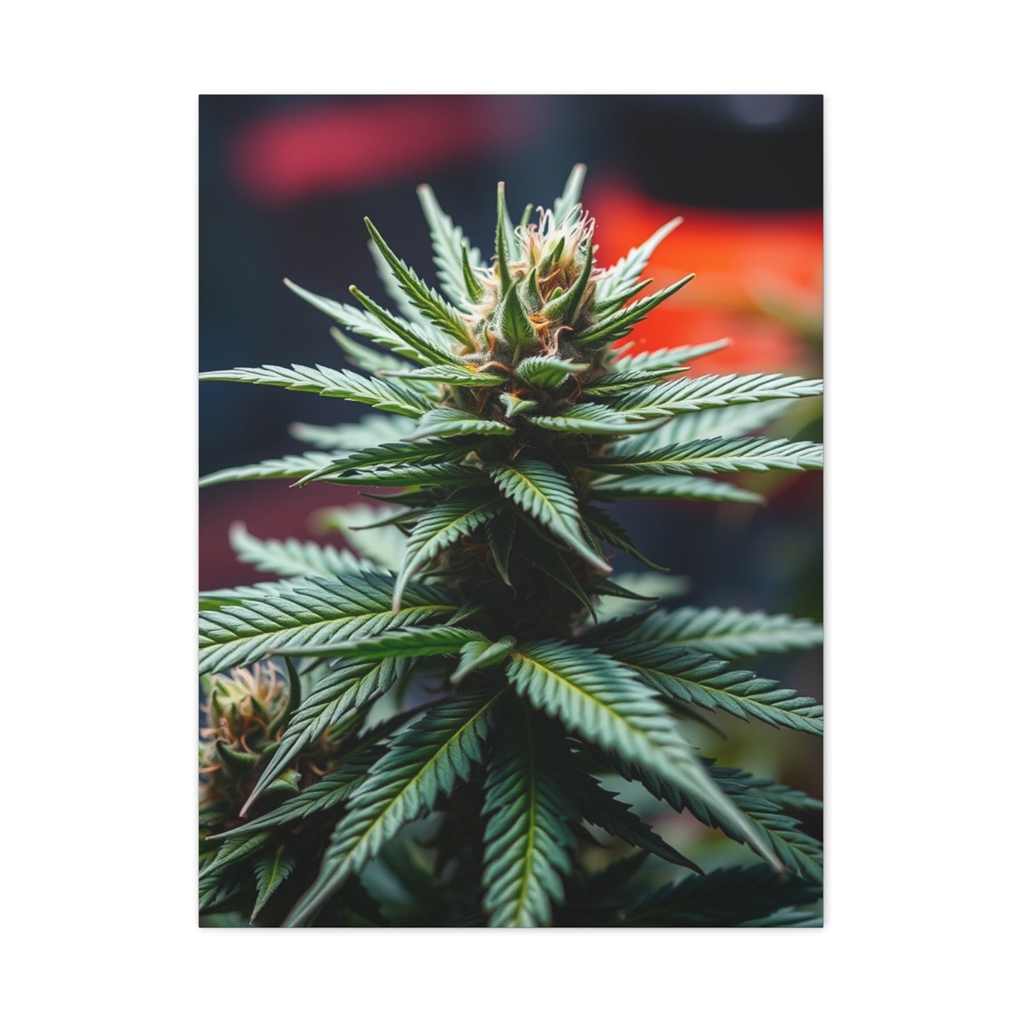 Herbaceous Ambience Gallery Wall Art & Canvas Print