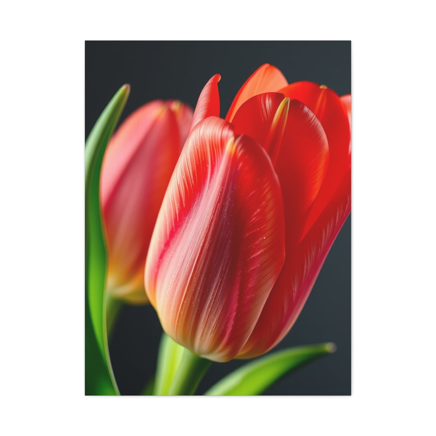 Tulip Flower Art Refined Canvas Wall Art & Canvas Print