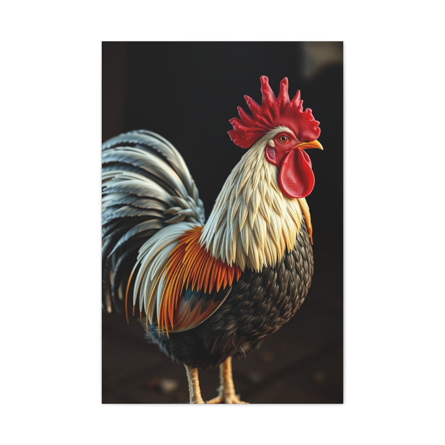 Ornate Avifauna Gallery