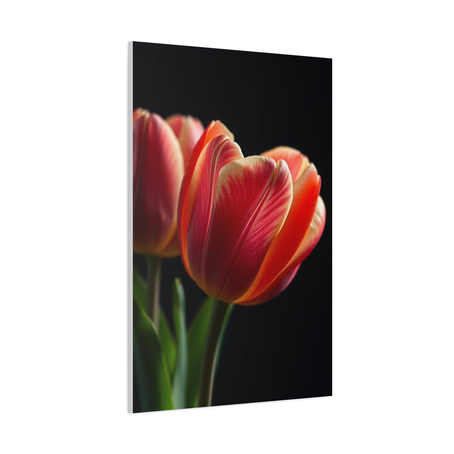Tulip Flower Art Supreme Gallery Wall Art & Canvas Print