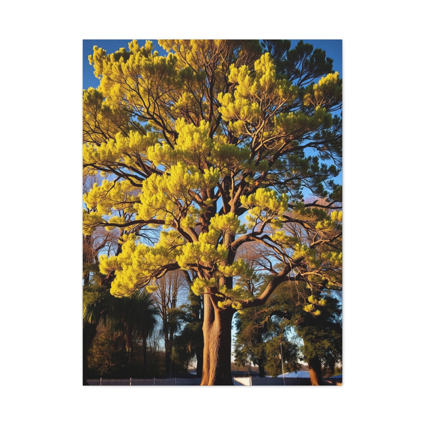 Lush Canopy Collection Wall Art & Canvas Print