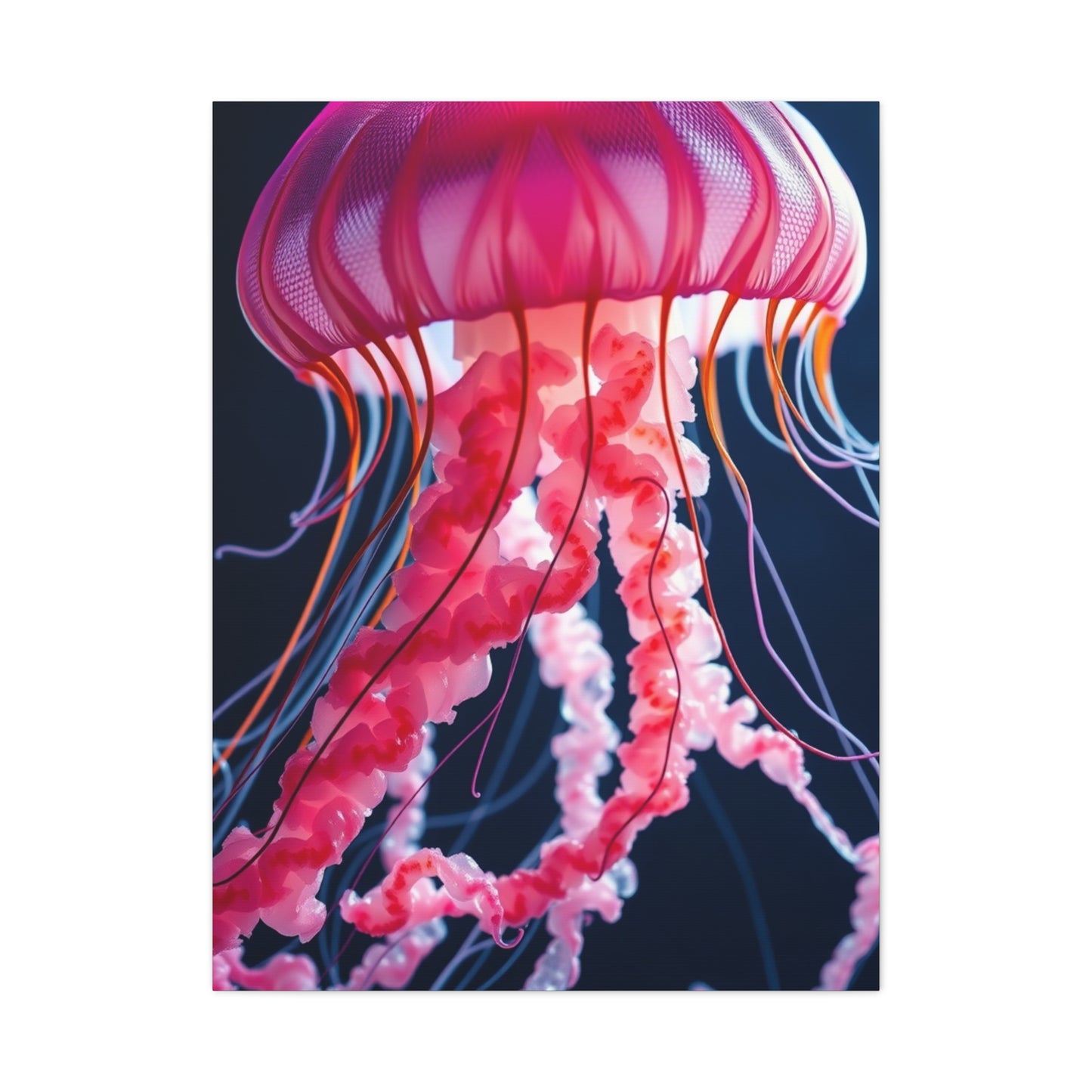 Jellyfish Art Supreme Gallery Wall Art & Canvas Print