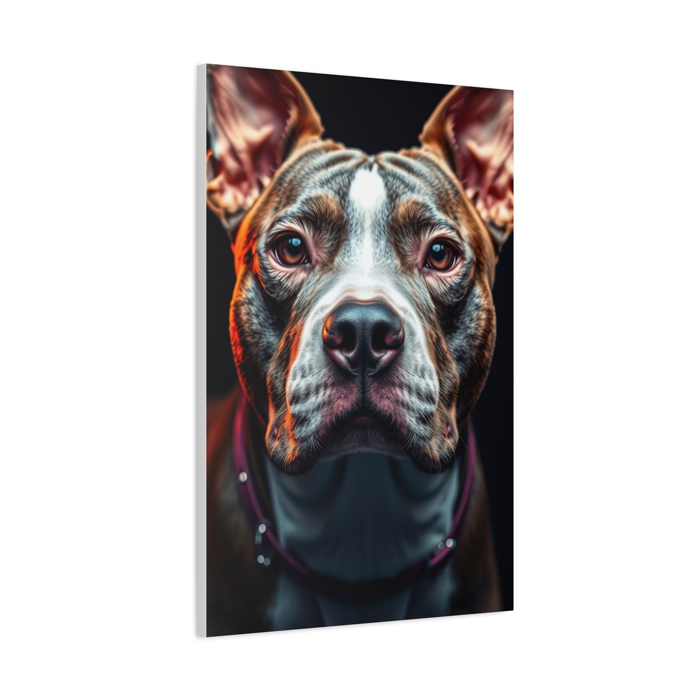 Collection Pit Bull Art Art Wall Art & Canvas Print
