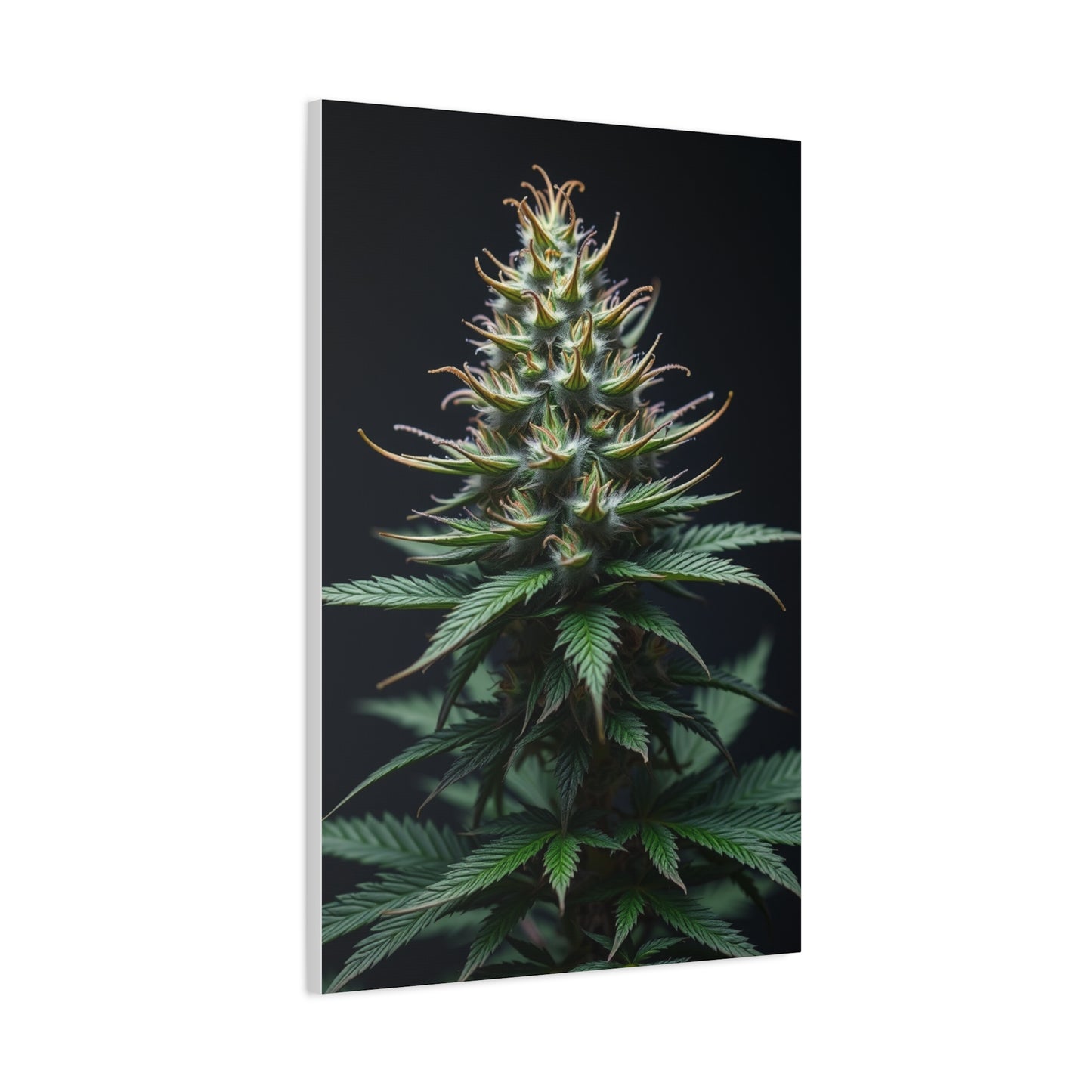 Lush Serenity Canvas Wall Art & Canvas Print