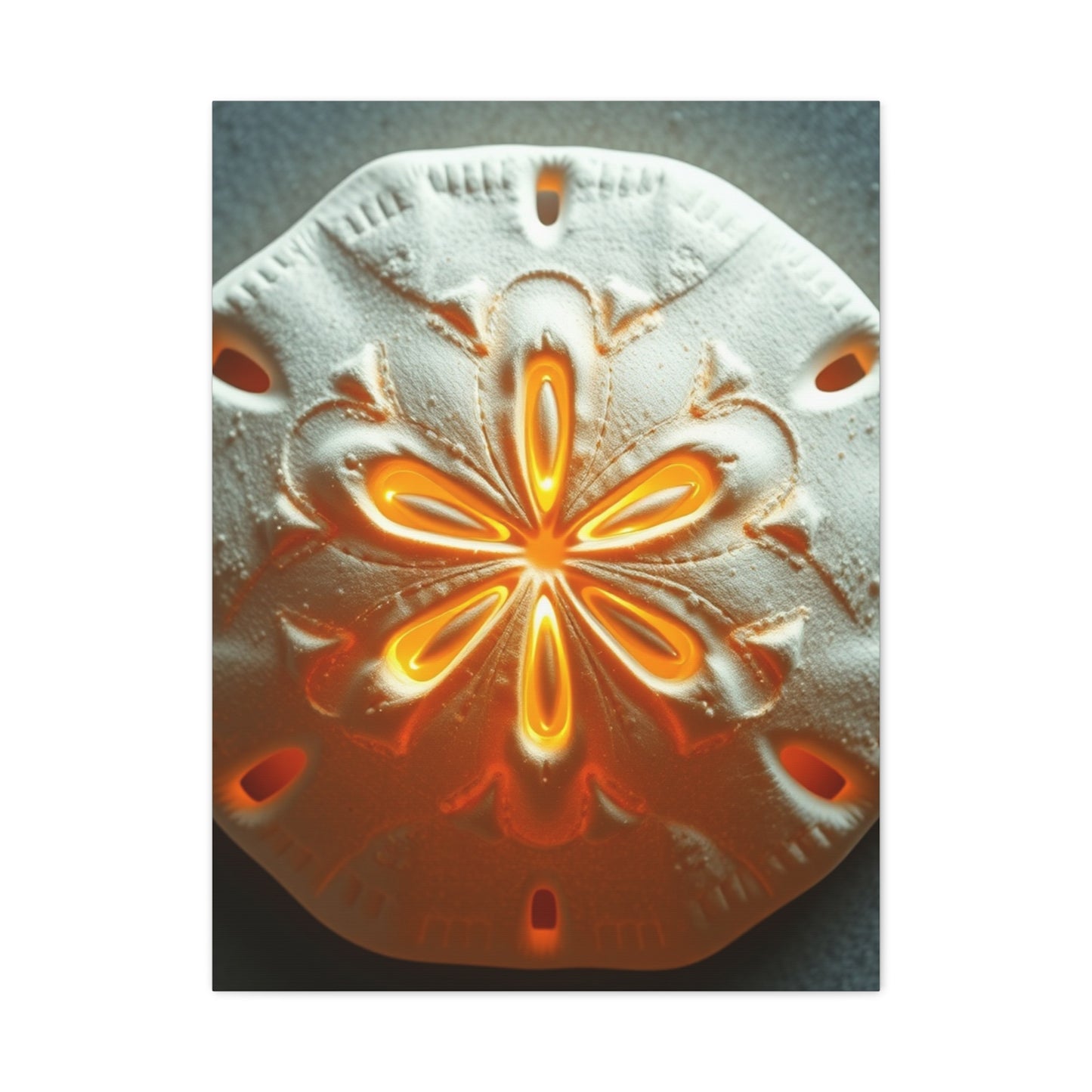 Elite Sand Dollar Art Vision Wall Art & Canvas Print
