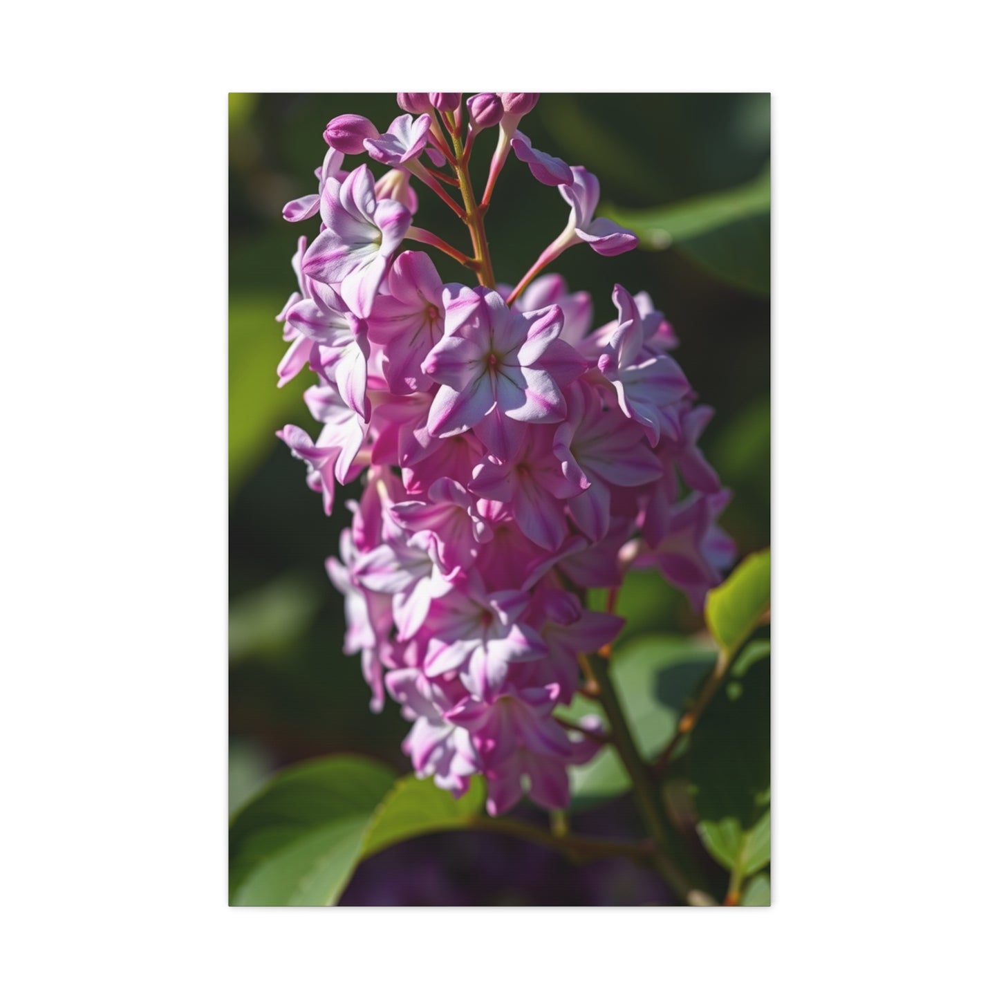 Lilac Flower Art Supreme Gallery Wall Art & Canvas Print