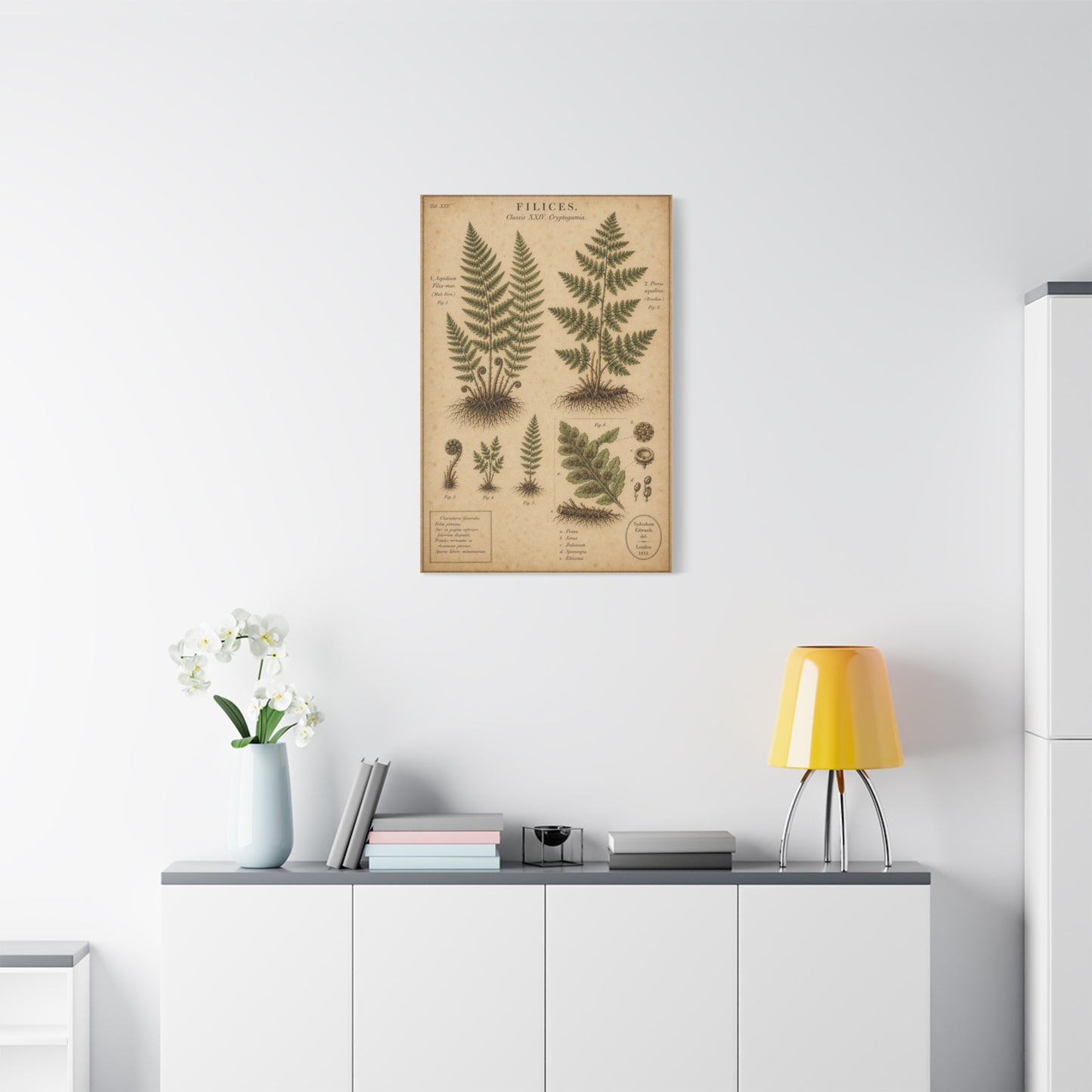 Antique Fern Herbarium Plate Wall Art & Canvas Print