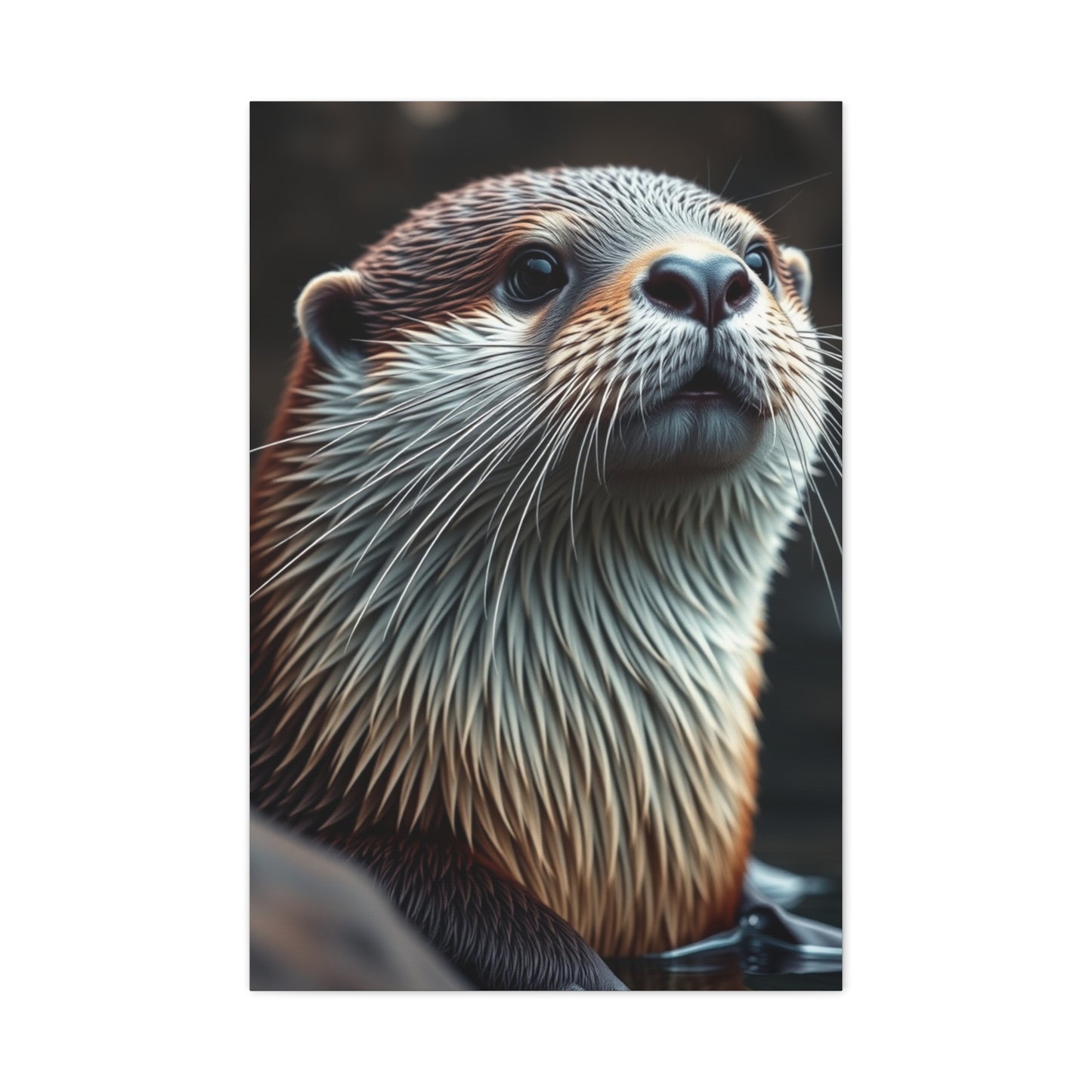 Supreme Otter Art Collection Wall Art & Canvas Print