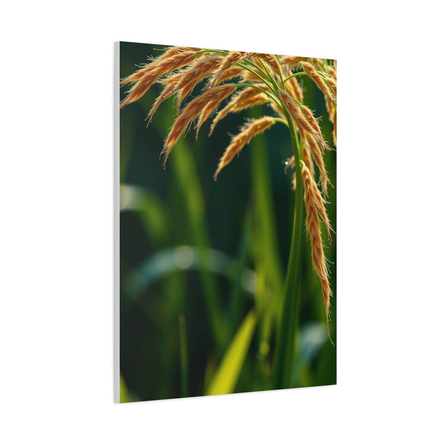 Exquisite Botanic Canvas Wall Art & Canvas Print
