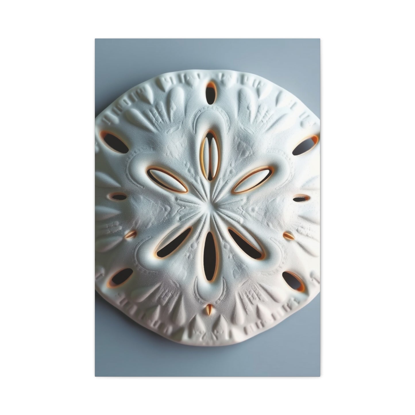 Supreme Sand Dollar Art Collection Wall Art & Canvas Print