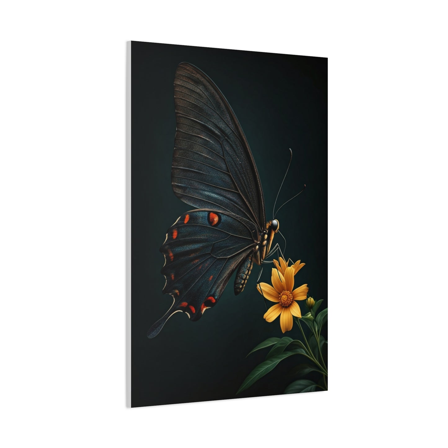 Midnight Black Butterfly On Wildflower Wall Art & Canvas Prints