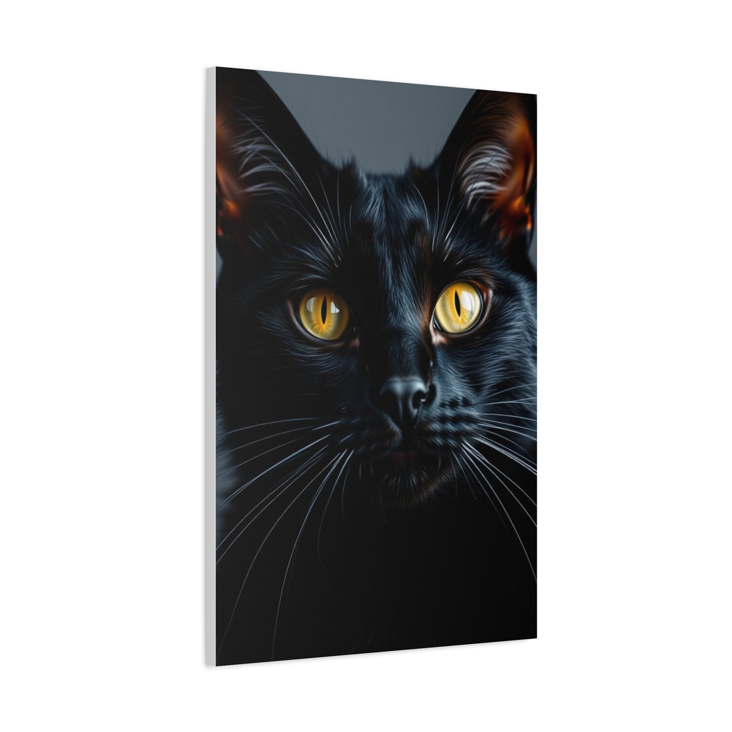 Supreme Black Cat Art Collection Wall Art & Canvas Print