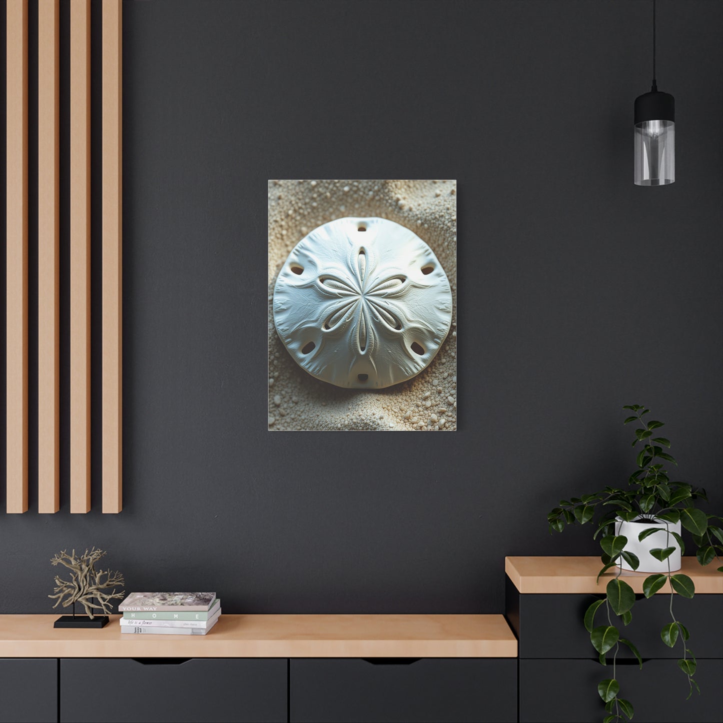 Vision Sand Dollar Art Art Wall Art & Canvas Print