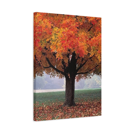Trees Wall Art & Canvas Prints