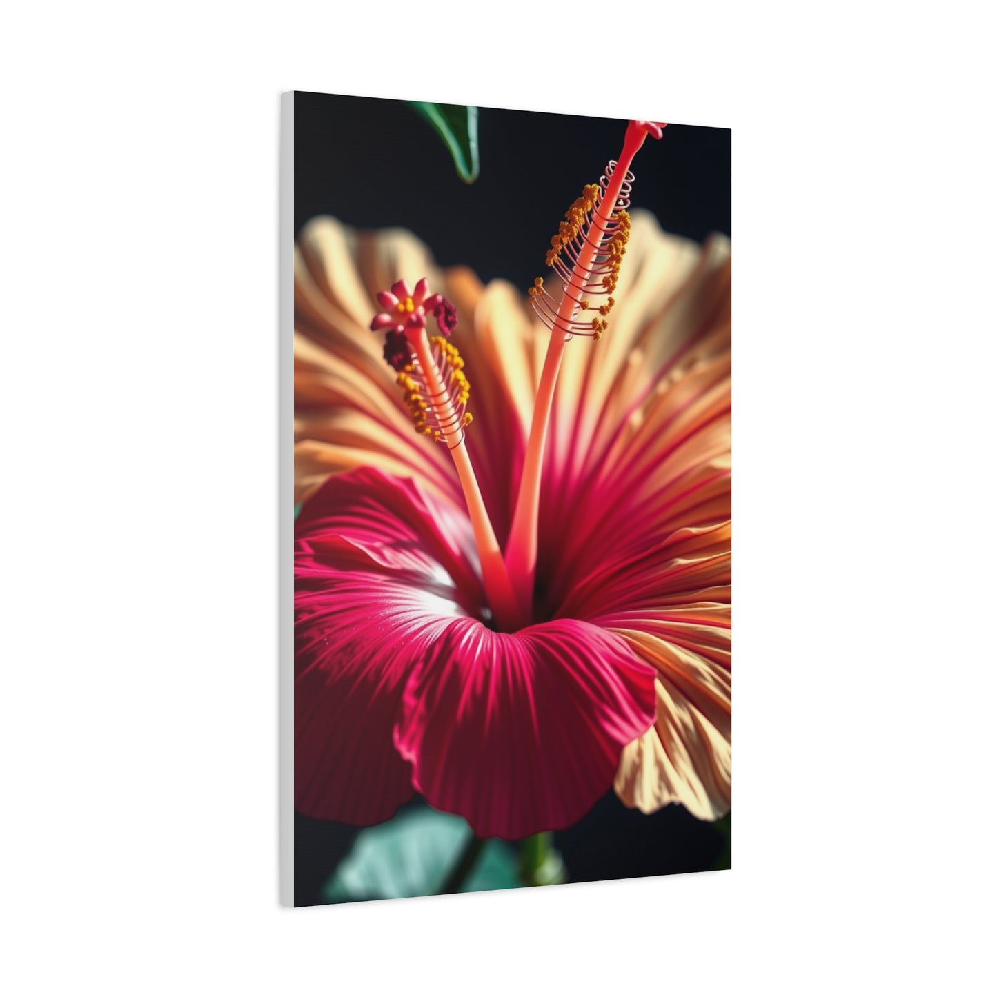 Elite Hibiscus Flower Art Vision Wall Art & Canvas Print
