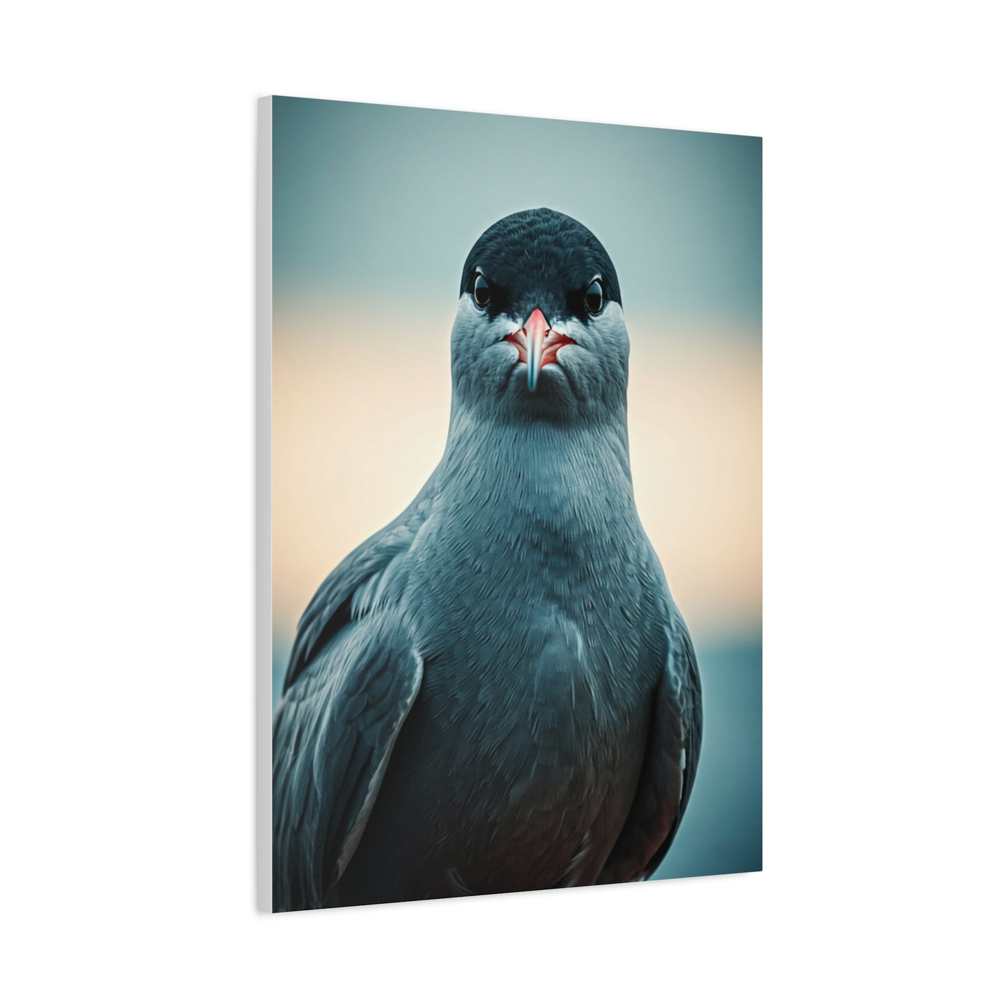 Arctic Tern Portrait Wall Art & Canvas Prints
