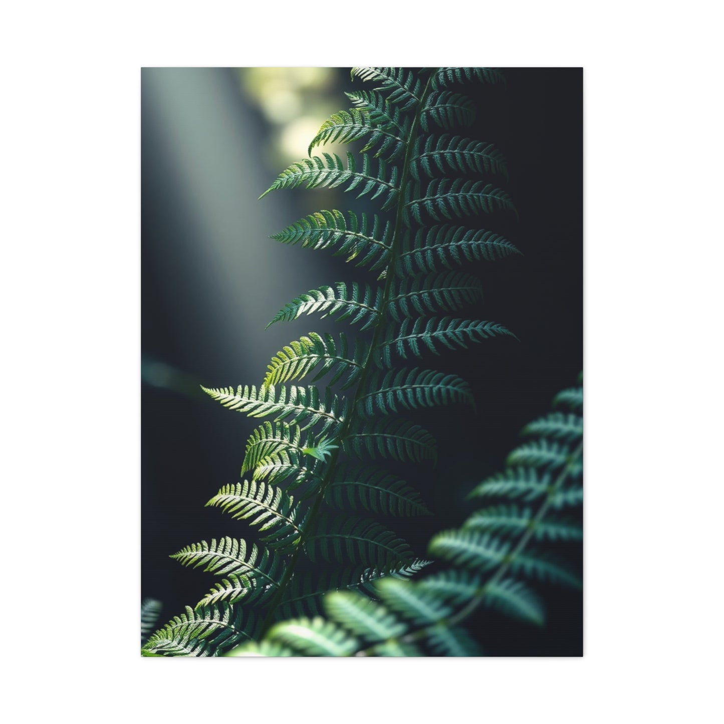 Vision Fern Art Art Wall Art & Canvas Print