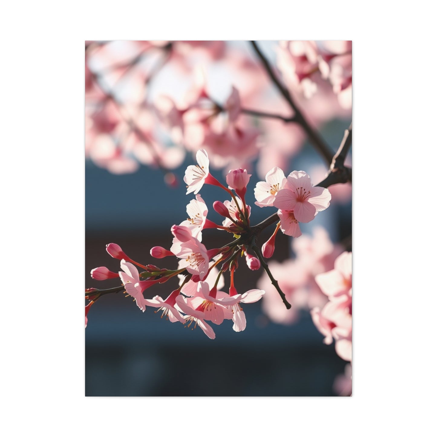 Serenade of Blossoms Art